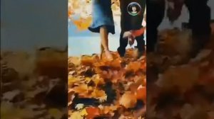 ПАДАЮТ ЛИСТЬЯ... Танец под песню. Двое...
