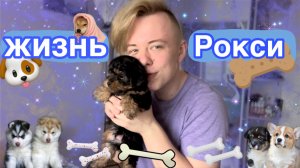 ЖИЗНЬ РОКСИ ?