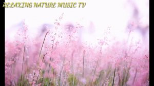 Top video relaxing beautiful flower garden music videos and relief stress