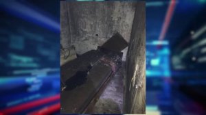 Пожар случился в жилом доме Правобережного района