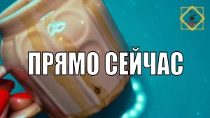 О ЧЁМ СТОИТ УСЛЫШАТЬ ПРЯМО СЕЙЧАС #ответуолятаро #youtubeshorts #olgabo666888999