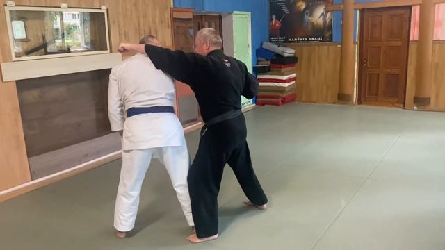 Heian Shodan Bunkai-kumite Nr. 2 смотреть онлайн