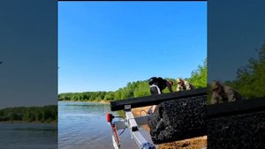 Лодка 390 с мотором 20 л.с.