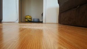 Hoover Aquamaster multi function vacuum cleaner. I Part 2 I