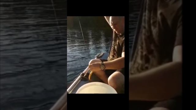 Ловля окуня на блёсны от Mr. Musurok