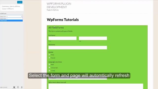 Method to Set Description Font Size in WpForms смотреть онлайн