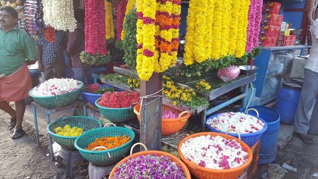 Немецкоавстрийская #флористика #Индия штат #Керала смотреть онлайн