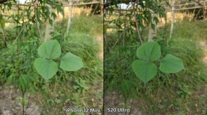 iPhone 12 Mini VS Samsung Galaxy S20 Ultra Camera Comparison, iPhone 12 Mini Camera Review