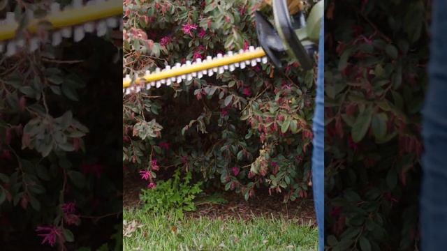 Green Machine Hedge Trimmer