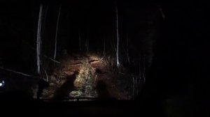 СОРВАЛСЯ НА МЕТАЛО КОП ОДИН В ТАЙГУ/НАШЁЛ ЗАБРОШЕНЫЙ ГАРАЖ ТОННЫ ЖЕЛЕЗА/ПОИСК МЕСТ ДЛЯ МЕТАЛОКОПА!