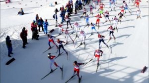 ТОП 10 Самых популярных видов спорта