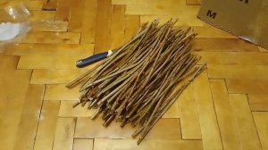 Черенки черной смородины зимой.  Что делать?