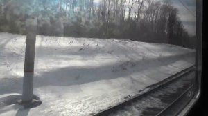 От ст. Можайск до ст. Бородино на ЭД4М-0489 ЦППК