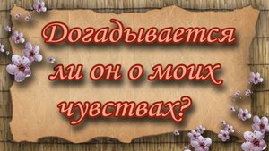 Догадывается ли он о моих чувствах? Таро для женщин. Таро расклад