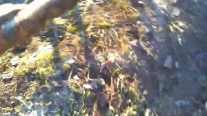 подкормка малины осенью