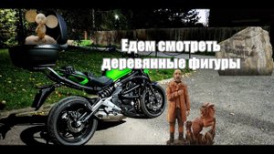 Kawasaki ER-6n, едем смотреть деревянные фигуры