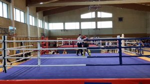 30.05.21.Финал Кубка Европы по кикбоксингу. Никита Гуранда(красный угол) победа