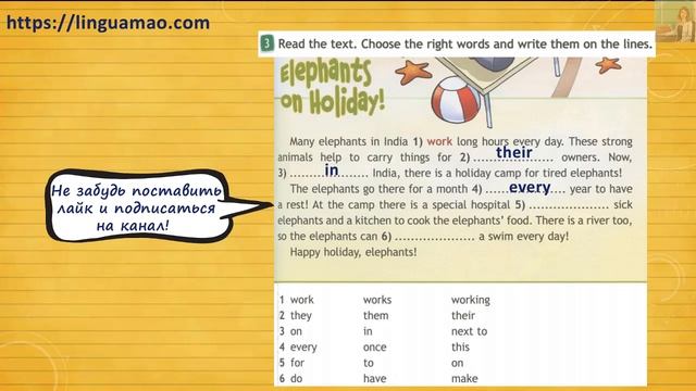 Spotlight 4 класс Workbook страница 35 номер 3 ГДЗ решебник