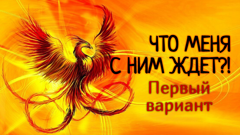 Феникс таро расклад новые