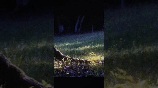 Те самые чувства.... смотреть онлайн