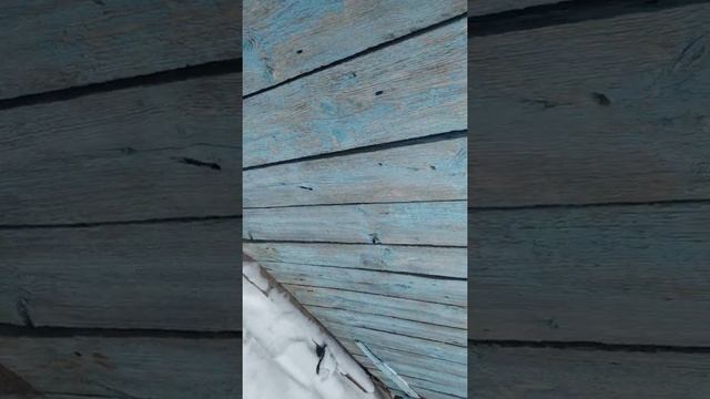 28 января 2022 г.Мото Восход ?? смотреть онлайн