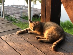 Басик Саша ?💐💋