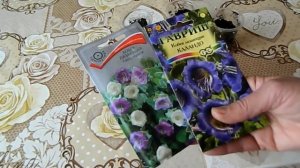 Когда и как сеять кобею на рассаду