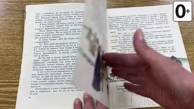 Книжки и картинки. Иллюстраторы детских книг. Татьяна Капустина