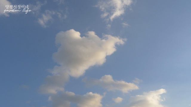 [이벤트마감] 구독자 1000명이 넘었습니다. 감사합니다! 이쁜생화 이벤트 합니다. 🙏🏻 смотреть онлайн