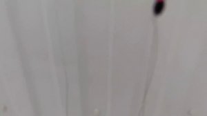 Рыбалка на глосика Приморск.