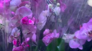 Леруа Мерлен Москва МКАД Варшавка 05.10.23