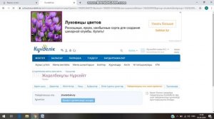 как узнать логин и пароль учеников