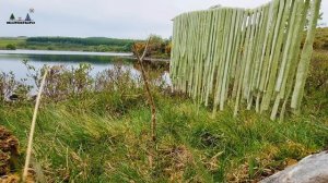 Boys will be Boys😎 Green Pesto Pasta with Salmon. ASMR Off-road Cooking.