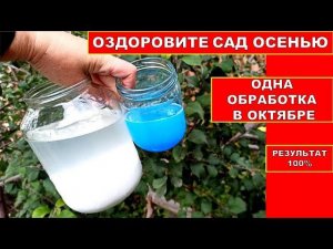 ОПРЫСКАЙ САД ПЕРЕД ЗИМОЙ, БОЛЕЗНЕЙ И ВРЕДИТЕЛЕй НЕ БУДЕТ! Истребляющая Обработка сада осень