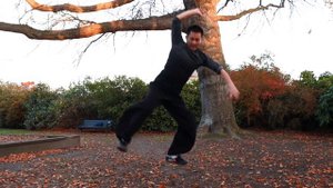 Shaolin Kung Fu Wushu Tiger Style Training - Powerful Tiger