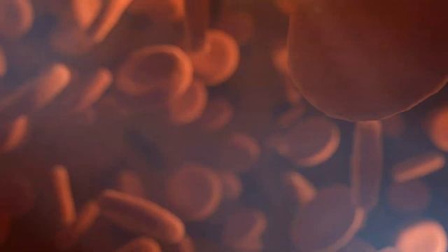 Cape Wrath: Zombies, Run! Spring 2023 Virtual Race Trailer смотреть онлайн