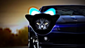 Phonk opex белая ночь опустилась, как облако remix