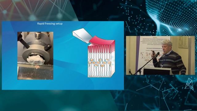 Фирсов М.Л. "Неканонические сигнальные молекулы каскада фототрансдукции" смотреть онлайн