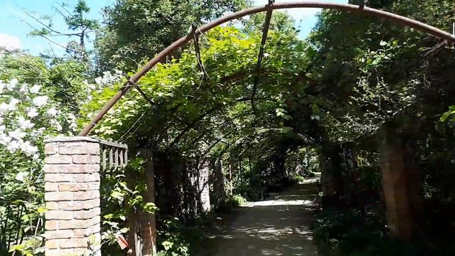 Отдых выходного дня. Аптекарский огород. Видео - 4.