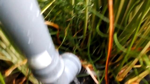 Прозрачный пруд. Просто добавьте дождевой воды и пруд будет прозрачен на всю глубину. смотреть онлайн