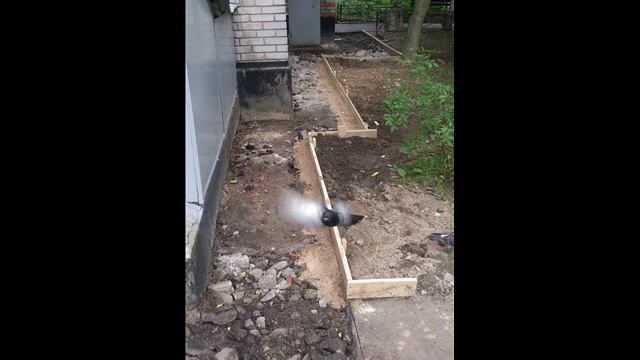 ремонт отмостка
