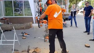 Обратный удар на бензопиле