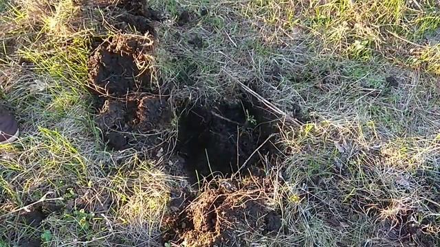 Крутой металлокоп. Нашли тяжелые плюшки. Апрель 2019.