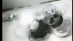 Условные рефлексы