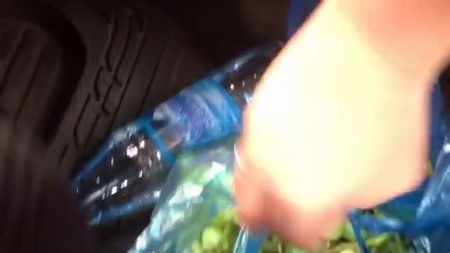 В гостях у Хуторянки* Хуторянка у нас в гостях* смотреть онлайн