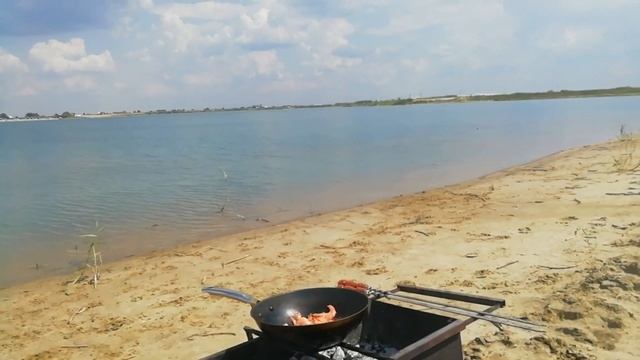 Отдых на природе/ Американский бульдог Серега/соленое озеро /рецепт жареных креветок / дрессировка смотреть онлайн