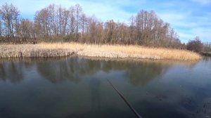 Рыбалка весной на поплавок. Spring fishing rod.