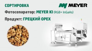 Сортировка грецкого ореха от скорлупы на ленточном фотосепараторе Meyer KI