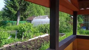 Наша дача // Жизнь на севере