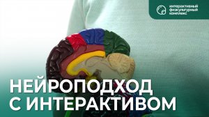 Интерактивный физкультурный комплекс. Как внедрить нейроподход в занятия?